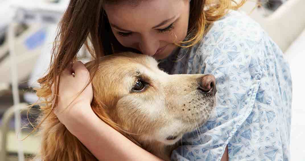 Bien gérer le traitement d’un chien épileptique